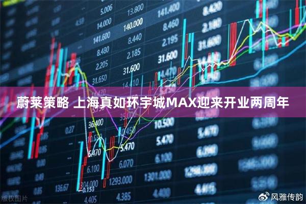 蔚莱策略 上海真如环宇城MAX迎来开业两周年
