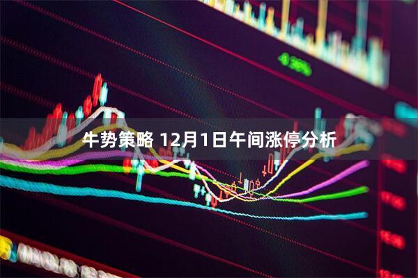 牛势策略 12月1日午间涨停分析